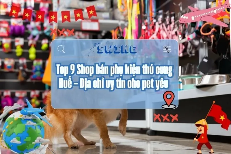 Top 9 Shop bán phụ kiện thú cưng Huế – Địa chỉ uy tín cho pet yêu 2025